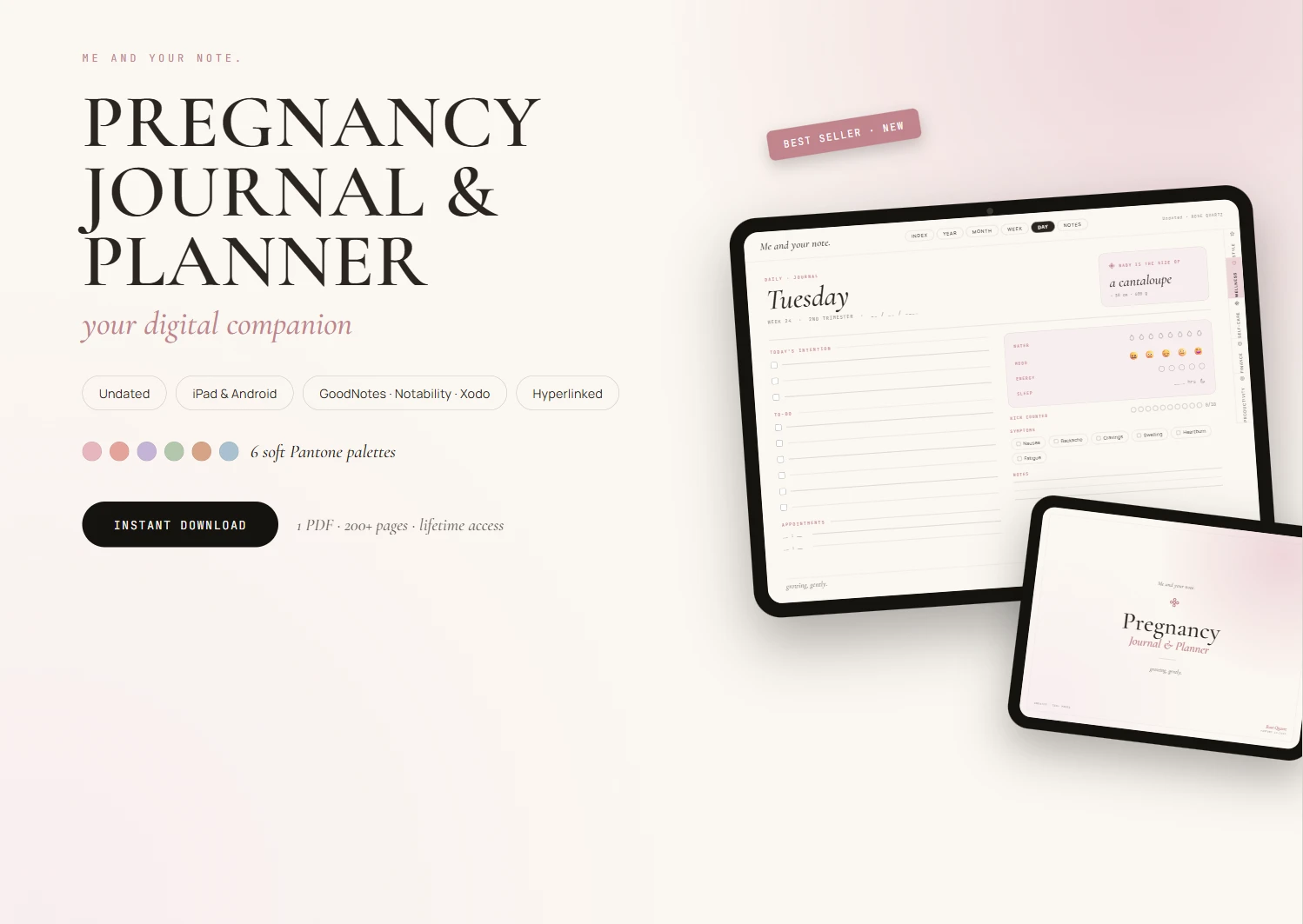 Pregnancy Journal